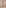 Glamour Avenue | Look ID 3035