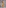 Glamour Avenue | Look ID 4838