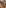 Glamour Avenue | Look ID 4854