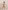 Glamour Avenue | Look ID 6063