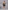 Glamour Avenue | Look ID 8488