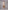 Glamour Avenue | Look ID 8506