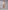 Glamour Avenue | Look ID 8552