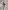 Glamour Avenue | Look ID 8619