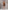 Glamour Avenue | Look ID 8629