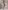 Glamour Avenue | Look ID 8638