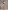 Glamour Avenue | Look ID 8644