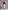 Glamour Avenue | Look ID 8655