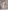 Glamour Avenue | Look ID 8656