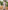 Glamour Avenue | Look ID 8658