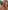 Glamour Avenue | Look ID 8660