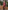 Glamour Avenue | Look ID 8661