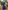 Glamour Avenue | Look ID 8668