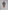 Glamour Avenue | Look ID 8675