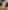 Glamour Avenue | Look ID 8678