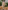 Glamour Avenue | Look ID 8680
