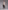 Glamour Avenue | Look ID 8707