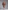 Glamour Avenue | Look ID 8709