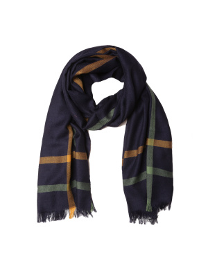 CESARE ATTOLINI Шарф 34399