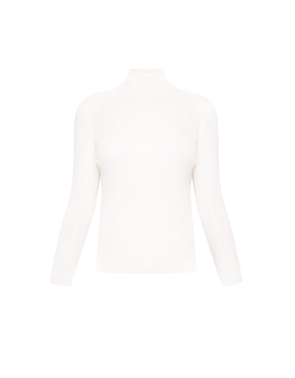 BOTTEGA VENETA Водолазка 41009