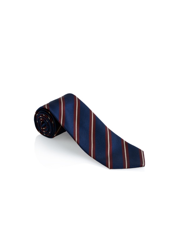 CESARE ATTOLINI Галстук 5