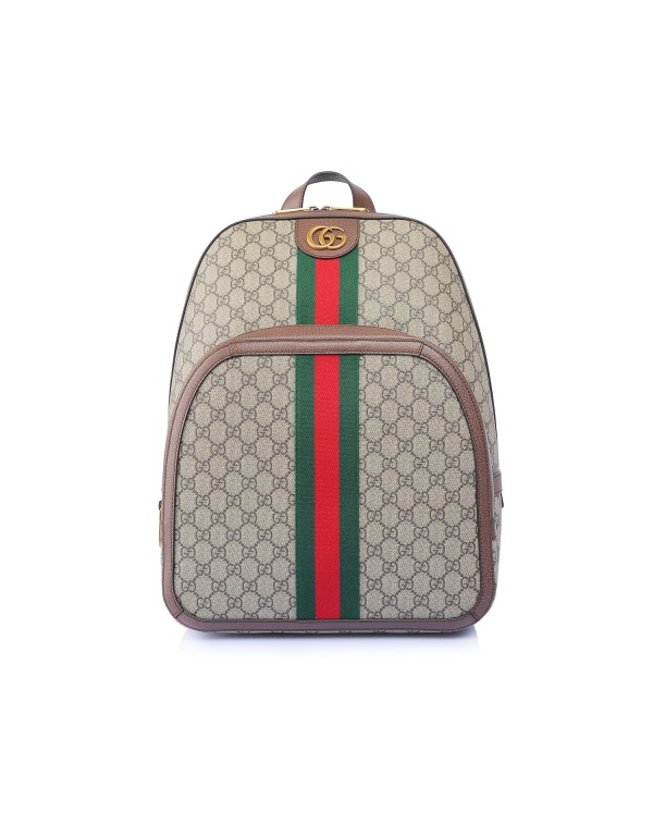 GUCCI Рюкзак 11101