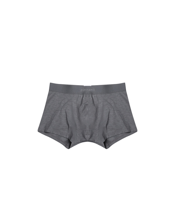ZIMMERLI Трусы 47422