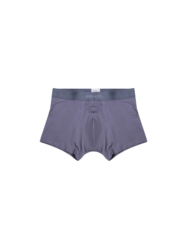 ZIMMERLI Трусы 47423
